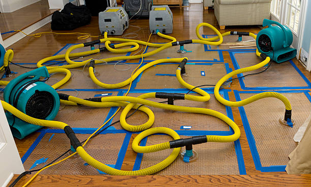 Professional Crawl Space Water Removal technician working in Franklin, WI